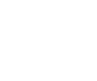 Holgest, holding del Gruppo Malfatti