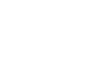 Holgest, holding del Gruppo Malfatti